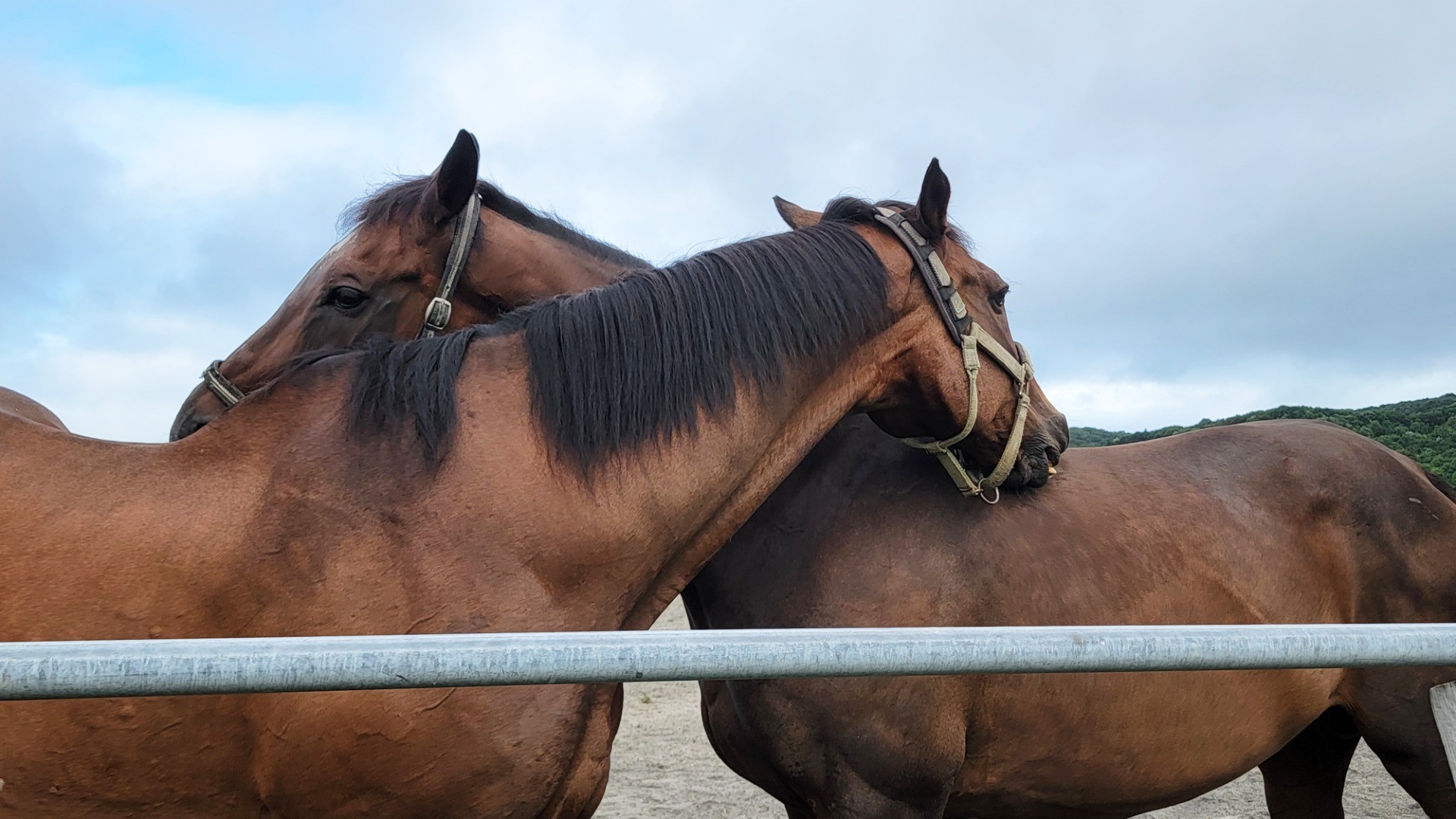 06f9096588748e2058770a21de67ebfd-1760933792.jpg 06f9096588748e2058770a21de67ebfd-1760933792.jpg